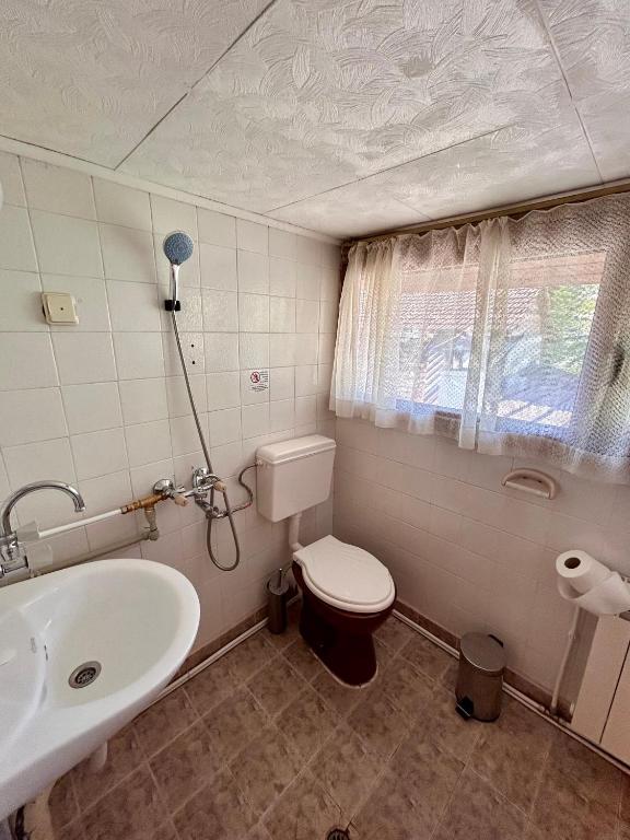 Fotografie z fotogalerie ubytování Luylyana Guesthouse v destinaci Ribarica