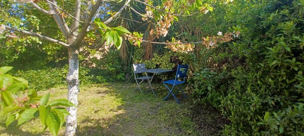 una mesa y una silla en un jardín en Chambre climatisée 300 m de la mer en Six-Fours-les-Plages