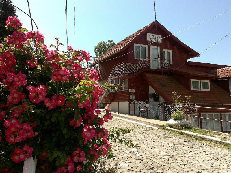 une maison avec des fleurs roses devant elle dans l'établissement Pensiunea Floare de Colt, à Sinaia