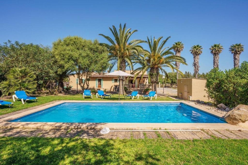 a swimming pool with blue chairs and palm trees at Haus mit Pool auf Mallorca in Manacor
