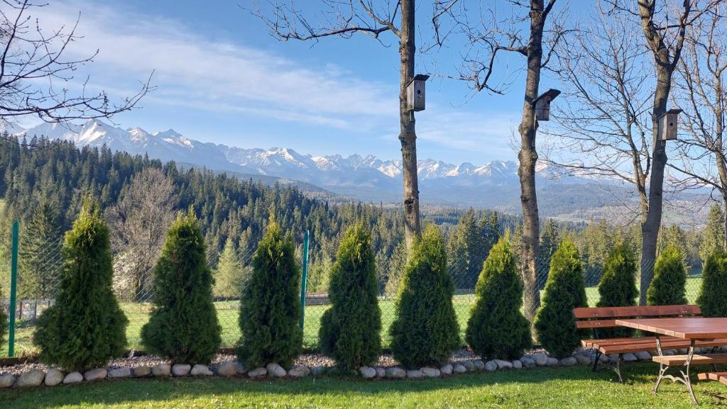 a park with a table and trees and mountains at Panoramiczny Wierch in Rzepiska
