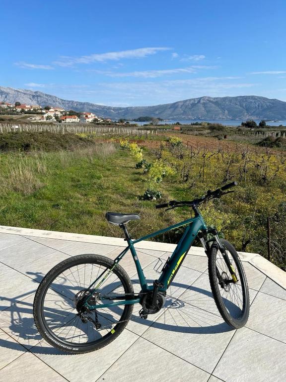 Jízda na kole v ubytování Luxury Hidden Oasis - Greca nebo okolí