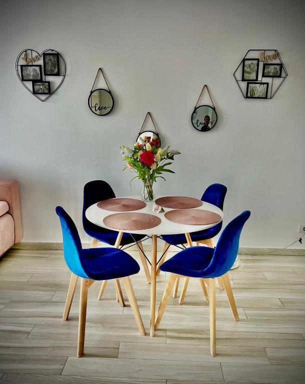 Karra Residence Timisoara - autorizat Ministerul Turismului - One-Bedroom Apartment