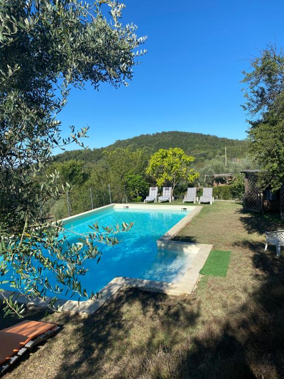 een zwembad in een tuin met bergen op de achtergrond bij Villa delle Croci in Scandicci