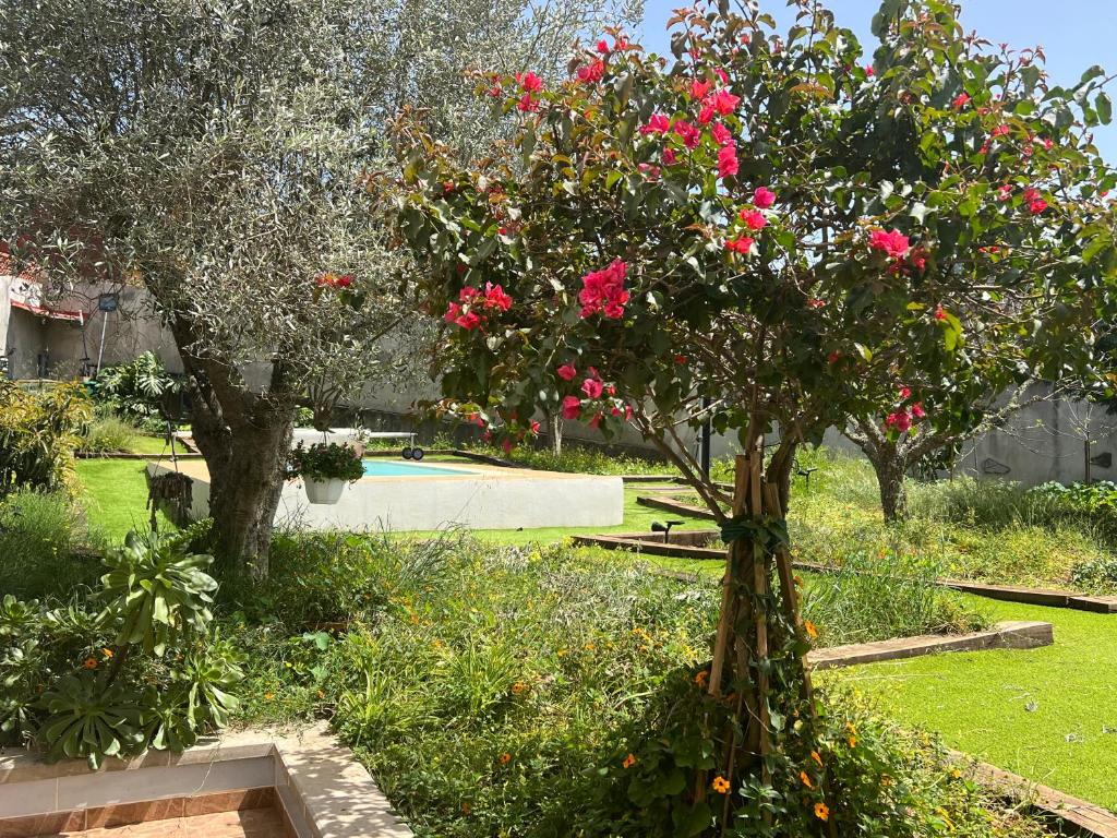 A garden outside Villa Arrebol Azul