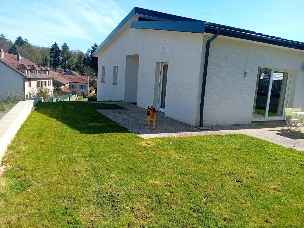 un perro parado en el césped frente a una casa en Pavillon au calme a 5mn de VESOUL, 