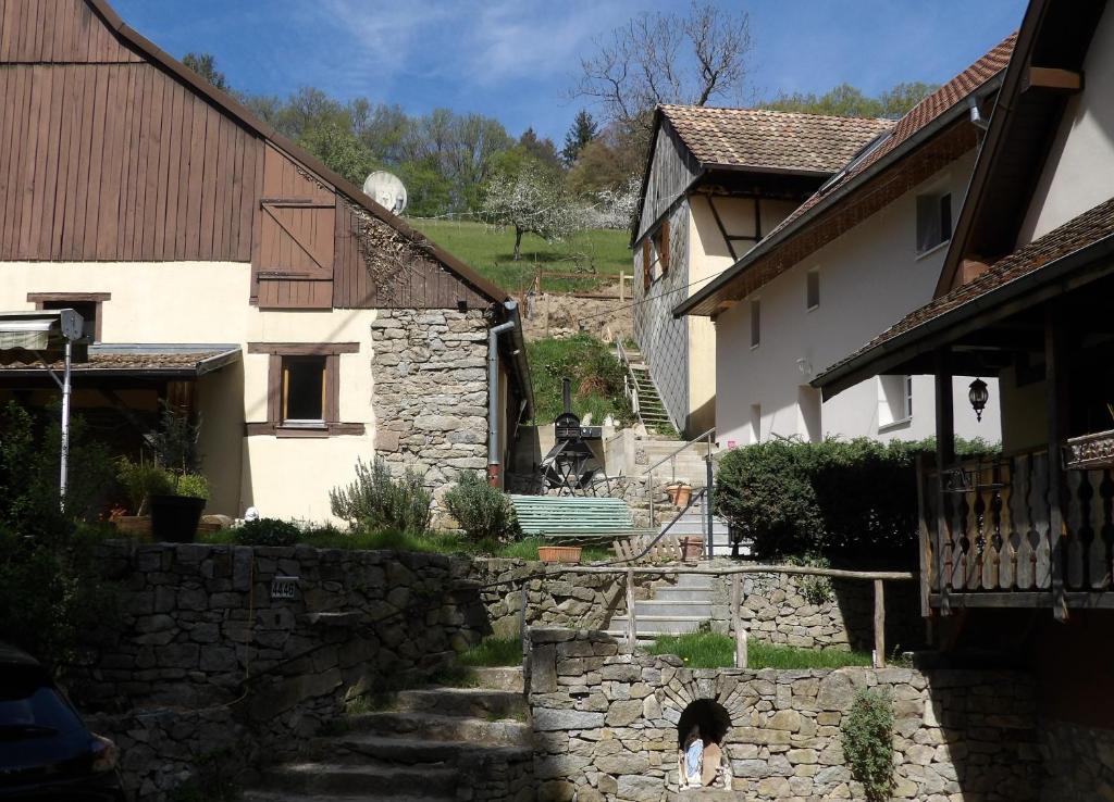a dog walking down some stone stairs in a village at Studio à Murbach au calme in Murbach