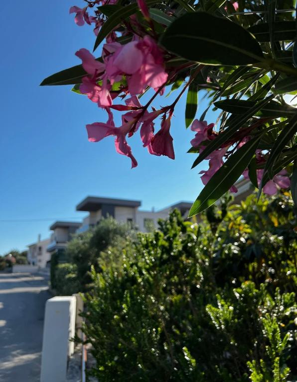 Ein Garten an der Unterkunft LuxArt City Spa Gallery Residence Krk