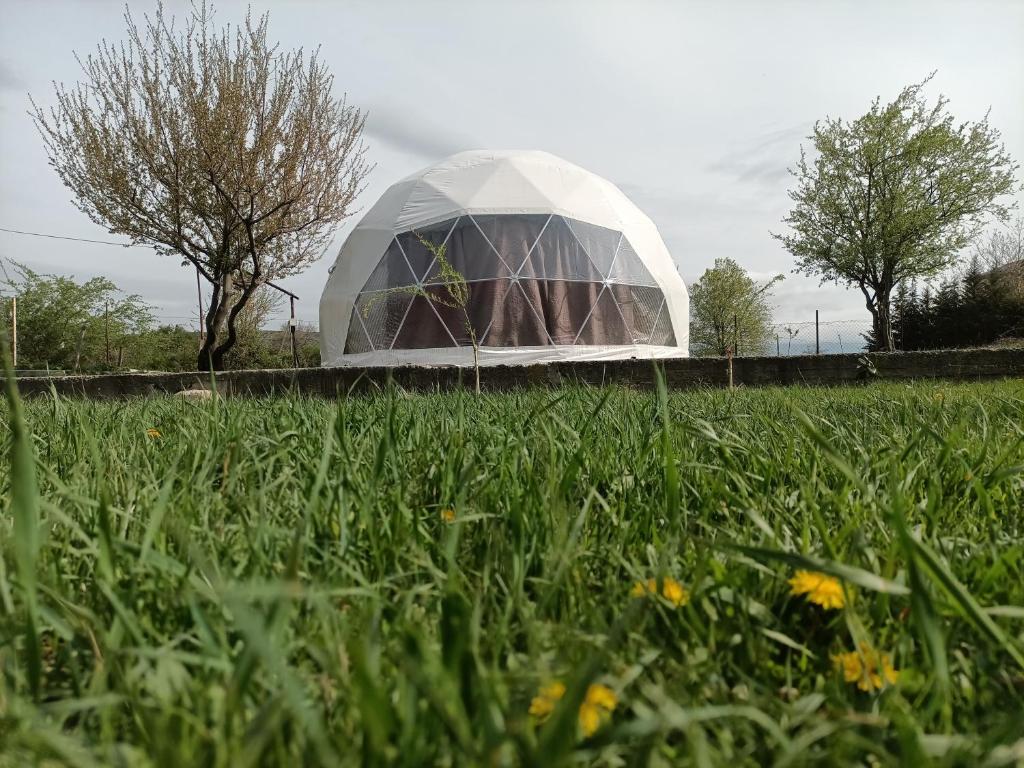 a greenhouse in a field of grass with flowers at Ze Oni Glamping in Tbilisi City