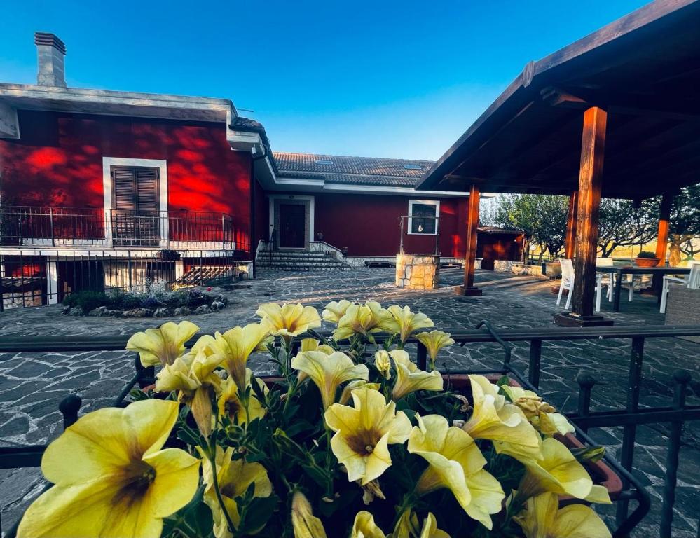 un montón de flores amarillas delante de un edificio en B&B Sole e Luna, en Scurcola Marsicana