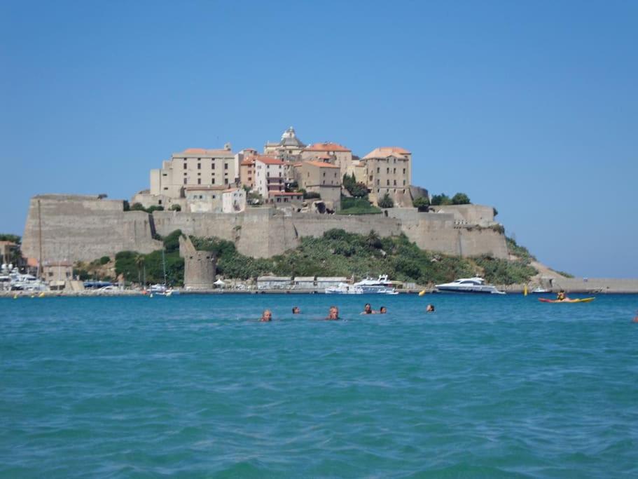 personnes nageant dans l'eau devant un château dans l'établissement Maison de village sur la citadelle de Calvi, à Calvi