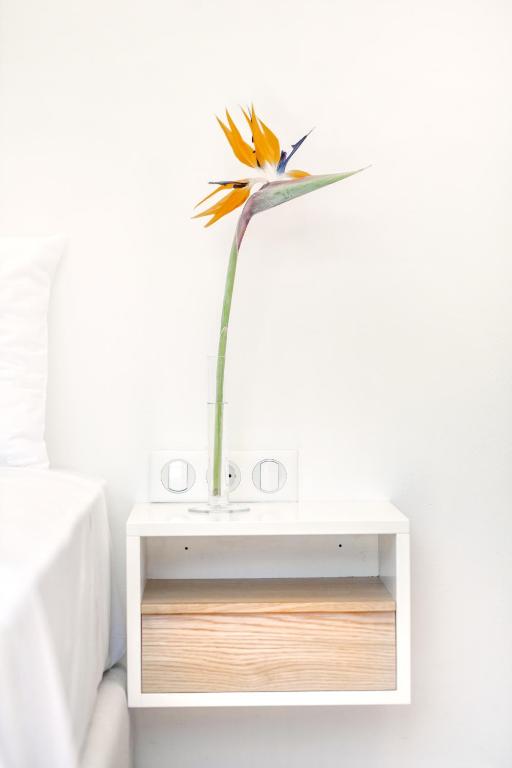Fotografie z fotogalerie ubytování Kumquart estate- Kumquat v destinaci Aspiotádes