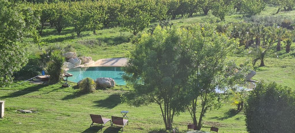 a pool in a field with two chairs and a tree at Mas des Cerisiers SPA-SAUNA inclus pour tous les logements in Avignon