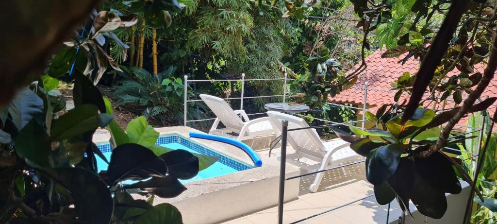 una piscina con 2 sillas blancas y una mesa en Jungle Beach Bungalow with AC & Fiber optic, en Puerto Viejo