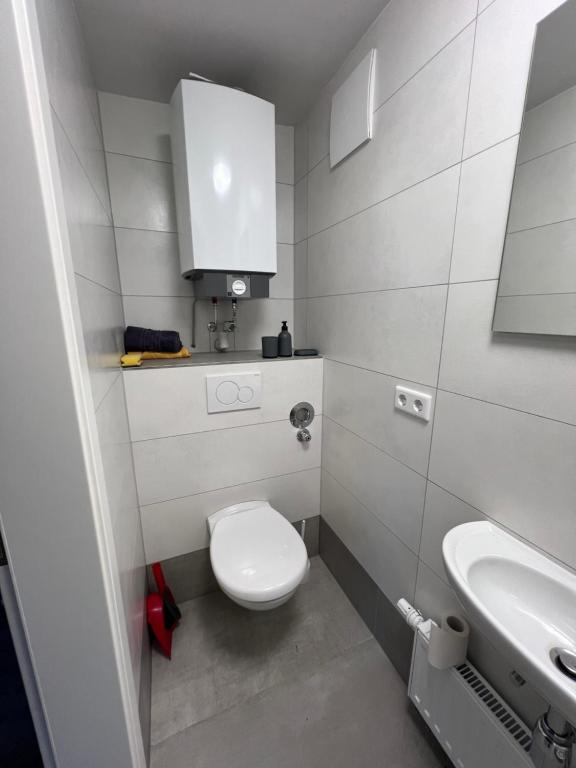 a small bathroom with a toilet and a sink at Weesby Süderstraße 3.3 in Weesby