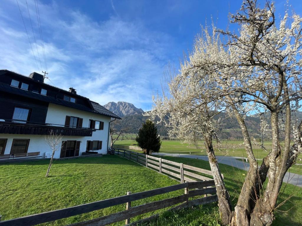 une maison blanche avec une clôture et un arbre dans l'établissement Haus Kaser, à Goderschach