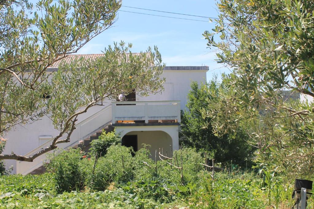 Zahrada ubytování Apartments 501 - spacious and bright apartment on island of Rab