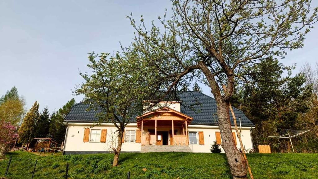ein weißes Haus mit einem schwarzen Dach und einem Baum in der Unterkunft Apartament Sadyba in Świeradów-Zdrój