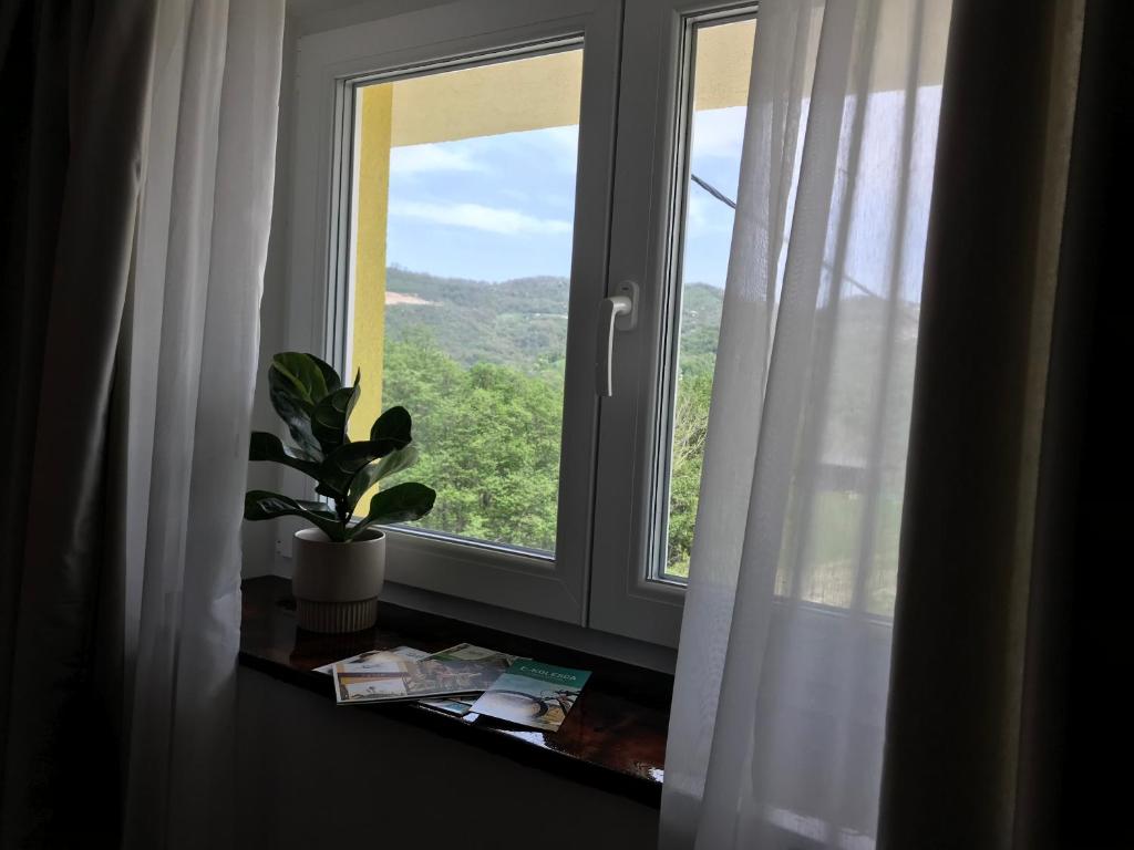 Nespecifikovaný výhled na hory nebo výhled na hory při pohledu z bed and breakfast