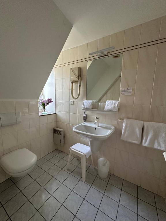 Hotel Au Nid De Cigognes - Habitación Doble Estándar
