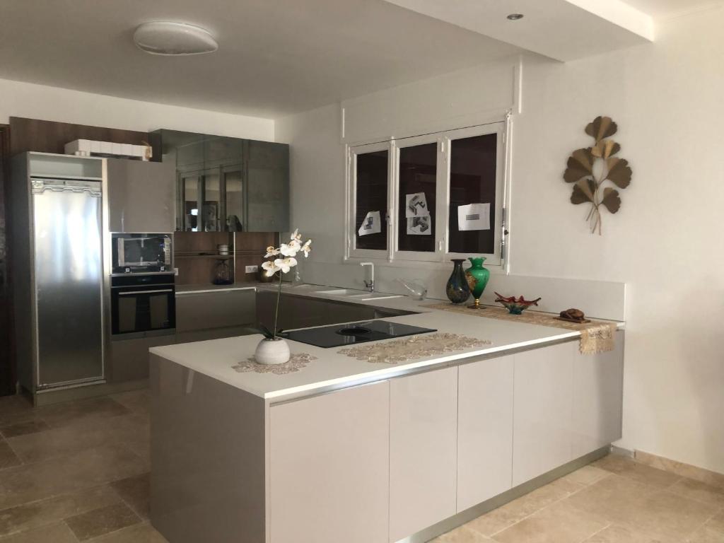 ムアン・サルトゥーにあるVilla avec piscine au soleil de la côte d’azurの白いキャビネットと冷蔵庫のあるキッチン