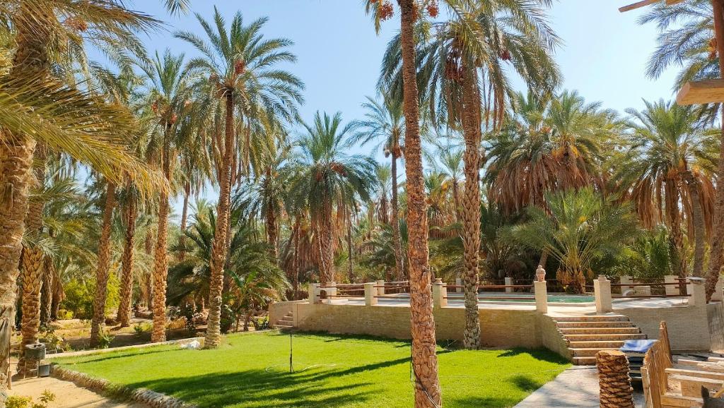 a park with palm trees and grass and a playground at Dar Ranim Tozeur in Tozeur