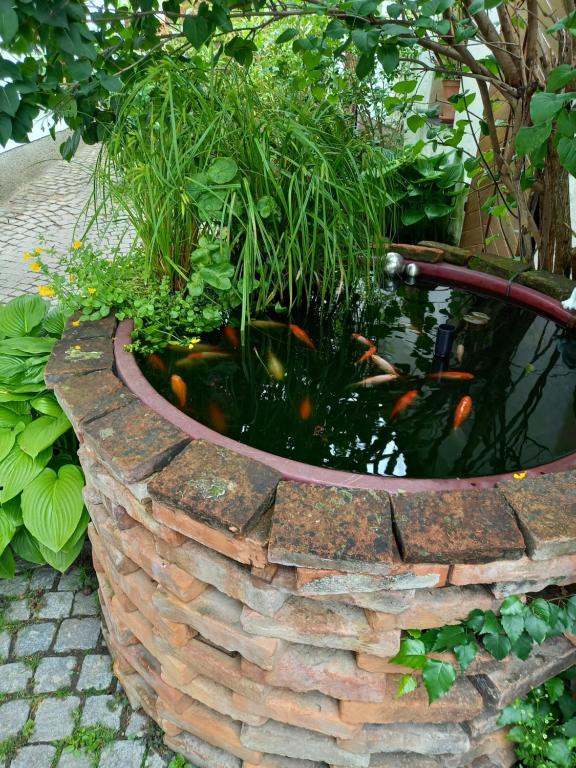 Zahrada ubytování Winzerhof Fleischmann