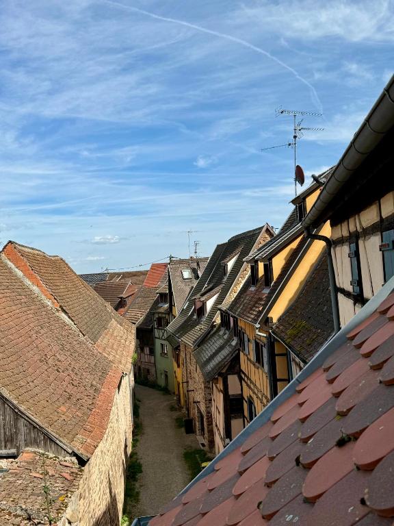 L'Adresse - Rempart Sud - Eguisheim avec garage privé – photo 29