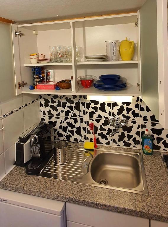 Una cocina o cocineta en Tannenboden