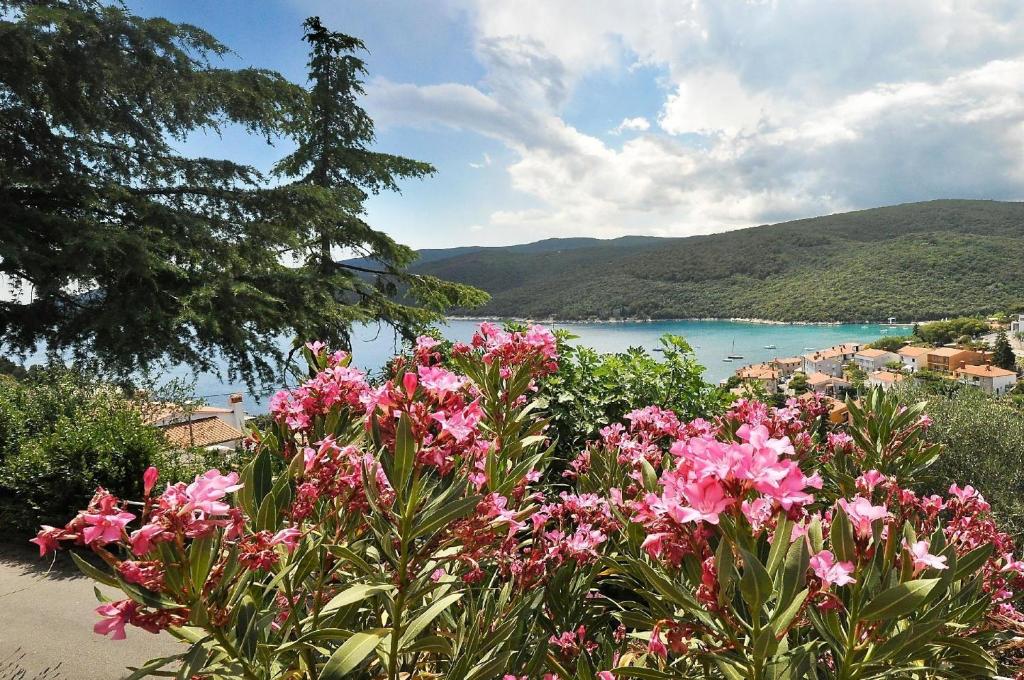 - une vue sur une étendue d'eau ornée de fleurs roses dans l'établissement Ferienwohnung für 4 Personen ca 45 qm in Rabac, Istrien Bucht von Rabac, à Rabac