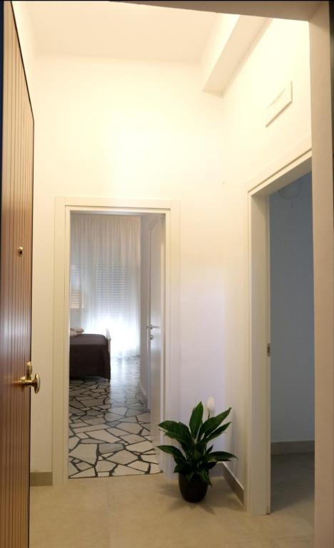 Sole & Luna Guest House - 19