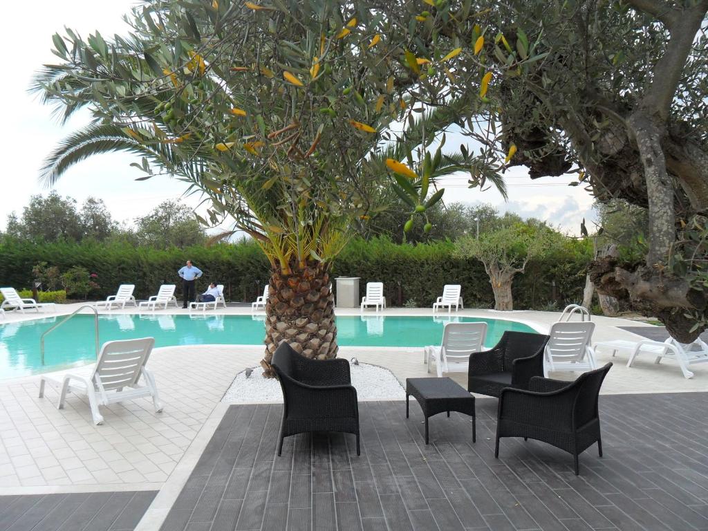 una palmera frente a una piscina con sillas en Hermes Hotel, en Policoro