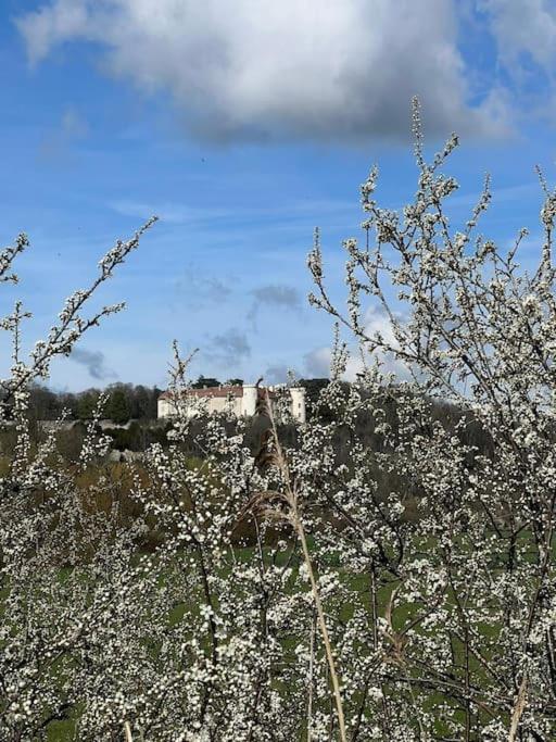 un champ de fleurs blanches avec un château en arrière-plan dans l'établissement le Gîte de Marie Ray Sur Saône, à Ray-sur-Saône