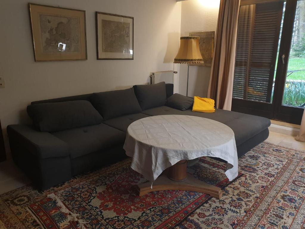 Posezení v ubytování Traumhaus im Wald