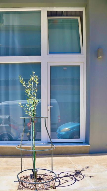 Piraeus Relax - Resim 11