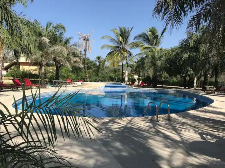 a swimming pool with palm trees in a resort at Chez Jacques Diatta in Cap Skirring