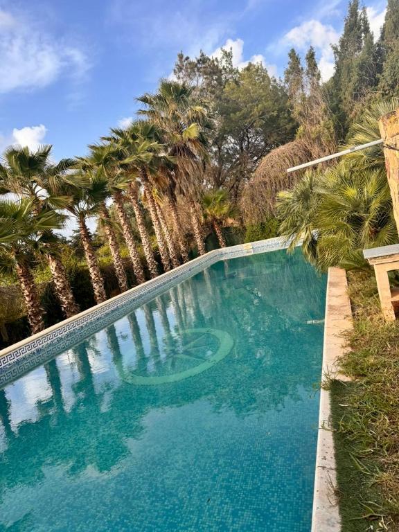 a swimming pool with blue water and palm trees at Sunset view in Cheraga