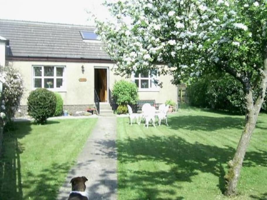 a dog is sitting in front of a house at Garden Cottage Helensburgh in Helensburgh