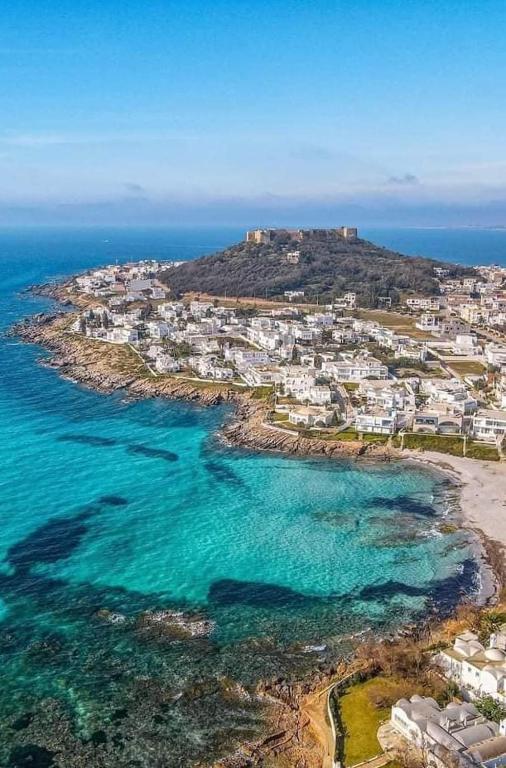 an aerial view of a beach with houses and the ocean at Appartement Ezzouhour A2 in Kelibia