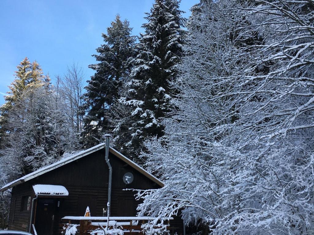 a cabin covered in snow next to a tree at Chalet cosy proche de Gérardmer et Colmar - Nature, WIFI, 2 chambres, terrasse, garage - FR-1-589-306 in Plainfaing