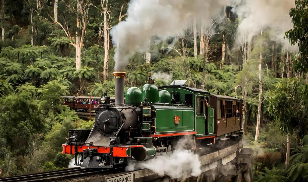 a green steam engine train traveling down the tracks at Modern Seednest Treehouse, Forest & Mountain View in Sassafras