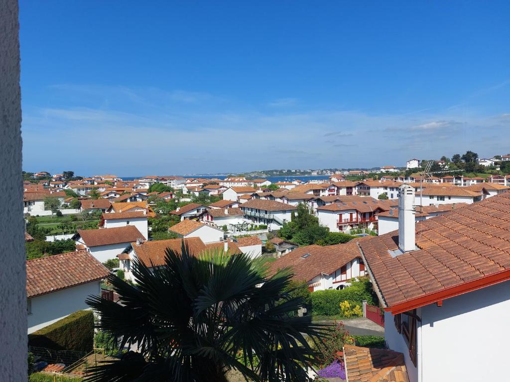 a view of a city with houses and a palm tree at Appartement Urrugne, 3 pièces, 6 personnes - FR-1-239-772 in Urrugne