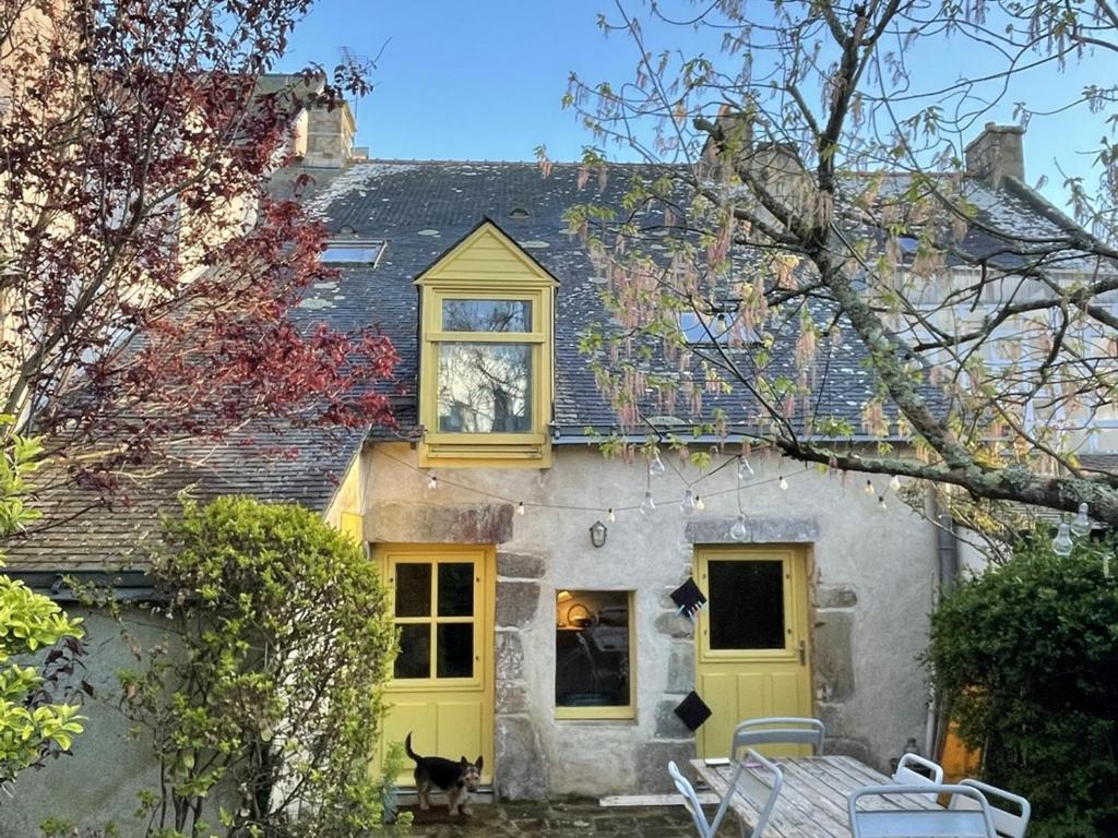 une maison avec une porte jaune et un chat devant dans l'établissement Maison de charme avec jardin clos, à 50m des commerces et proche plage, pour 8 personnes - FR-1-639-54, à Arzon