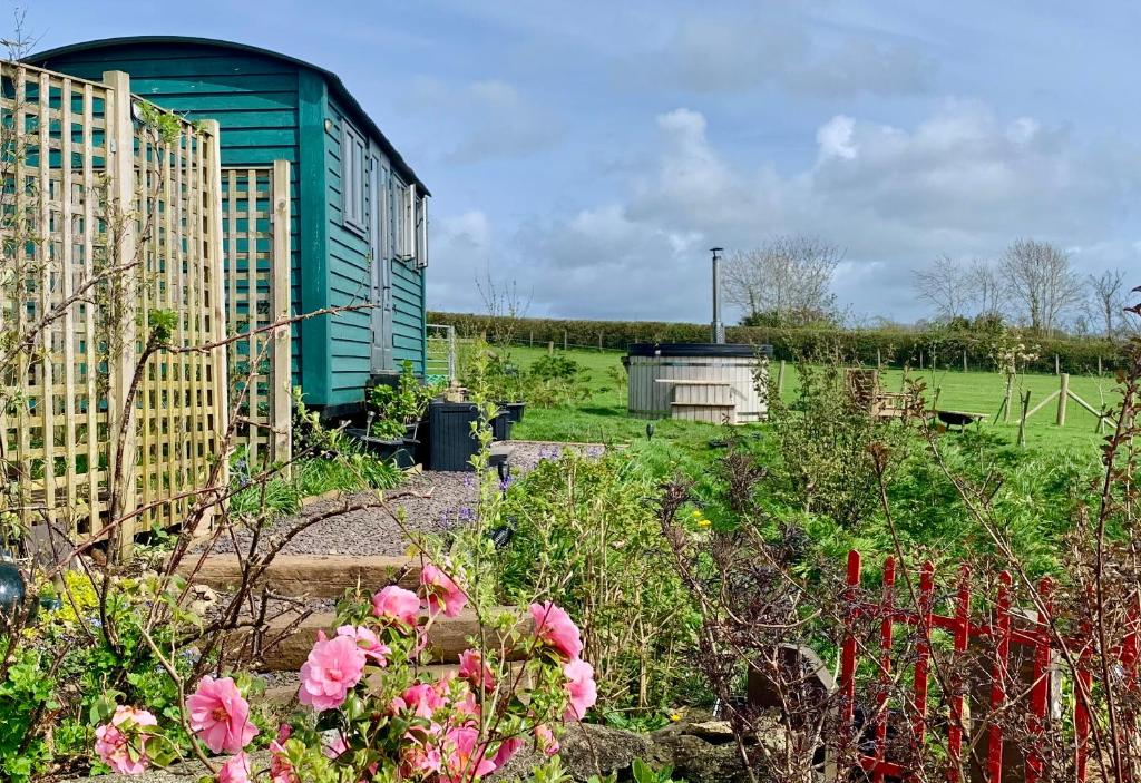 un giardino con fiori rosa e un edificio verde di Bluebell Hut with Hot Tub a Llanfairpwllgwyngyll