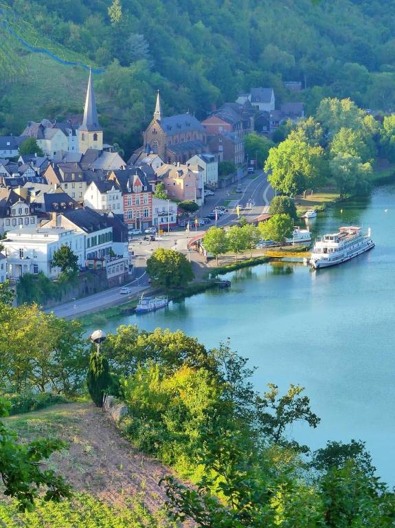 a town next to a river with a city at Ferienwohnung Katharina I in Alf