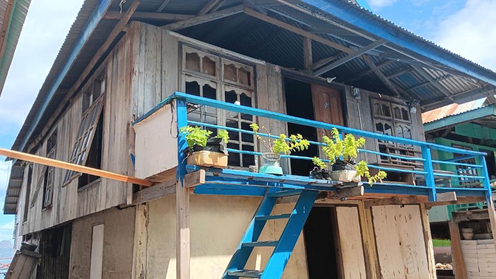 a house with a blue staircase and potted plants on it at Khalisa Homestay in Komodo