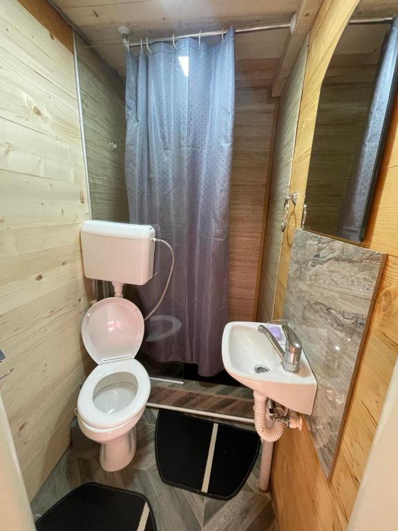 un piccolo bagno con un water e un lavandino di Bungalov Perovic ad Andrijevica