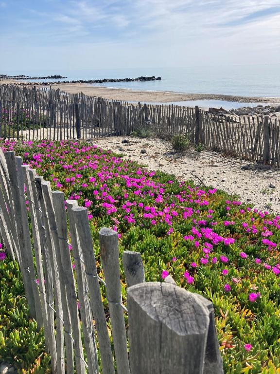 a field of pink flowers next to a wooden fence at Tropical Duplex : Bord de mer + Piscine in Frontignan