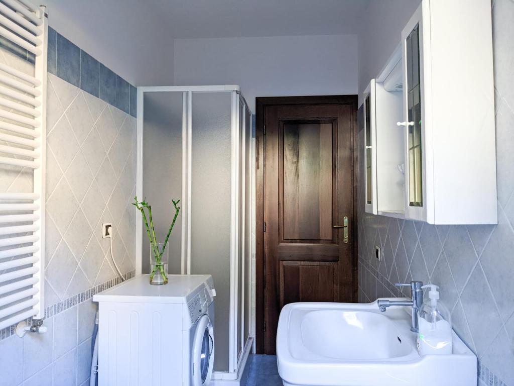 ein Badezimmer mit einem Waschbecken und einer Waschmaschine in der Unterkunft La casa sul lago in Trevignano Romano