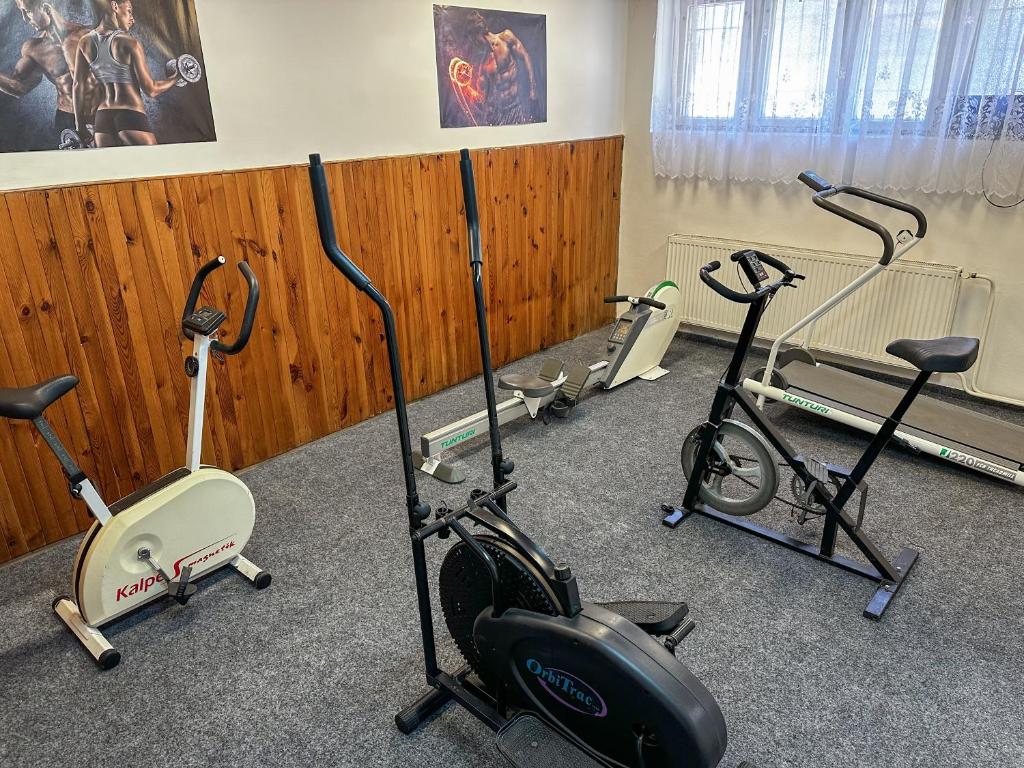 Spordikeskus ja/või sportimisvõimalused majutusasutuses Sport Hotel Gejzirpark